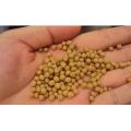 Fish Feed with Competitive Price