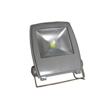 ES-10W LED Flutlicht