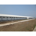 Poultry Farm Equipments with Ce Chinese Super herdsman