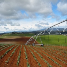 Structure du corps transversal, diamètre d&#39;irrigation pulvérisé jusqu&#39;à 1200 mètres, avec un arroseur de moteur à l&#39;épreuve d&#39;humidité fermée