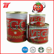 400g Organic Canned Tomato Paste of Vego Brand