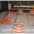 Automatic Poultry Equipment for Parent Broiler Management