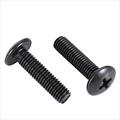 Stainless Steel Phillips Truss Head Mushroom Machine Screws