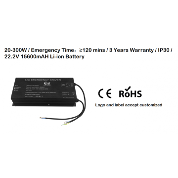 20-300W LED Emergency Driver