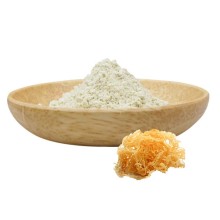 Chondrus crispus extract Carrageenan irish sea moss powder