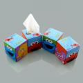 Boutique Facial Tissue