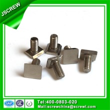 Square Head Stainless Steel T Bolt for Curtain