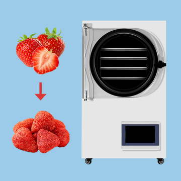 Máquina de secagem de congelamento a vácuo de morango