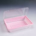 Divided Take Away Food Plastic Tray with Lip