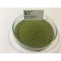 Natural Barley Grass Powder