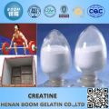 Free sample high quality Creatine monohydrate