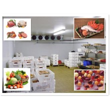 Quick Delivery Cold Storage Room Freezer/Chicken Freezer Room