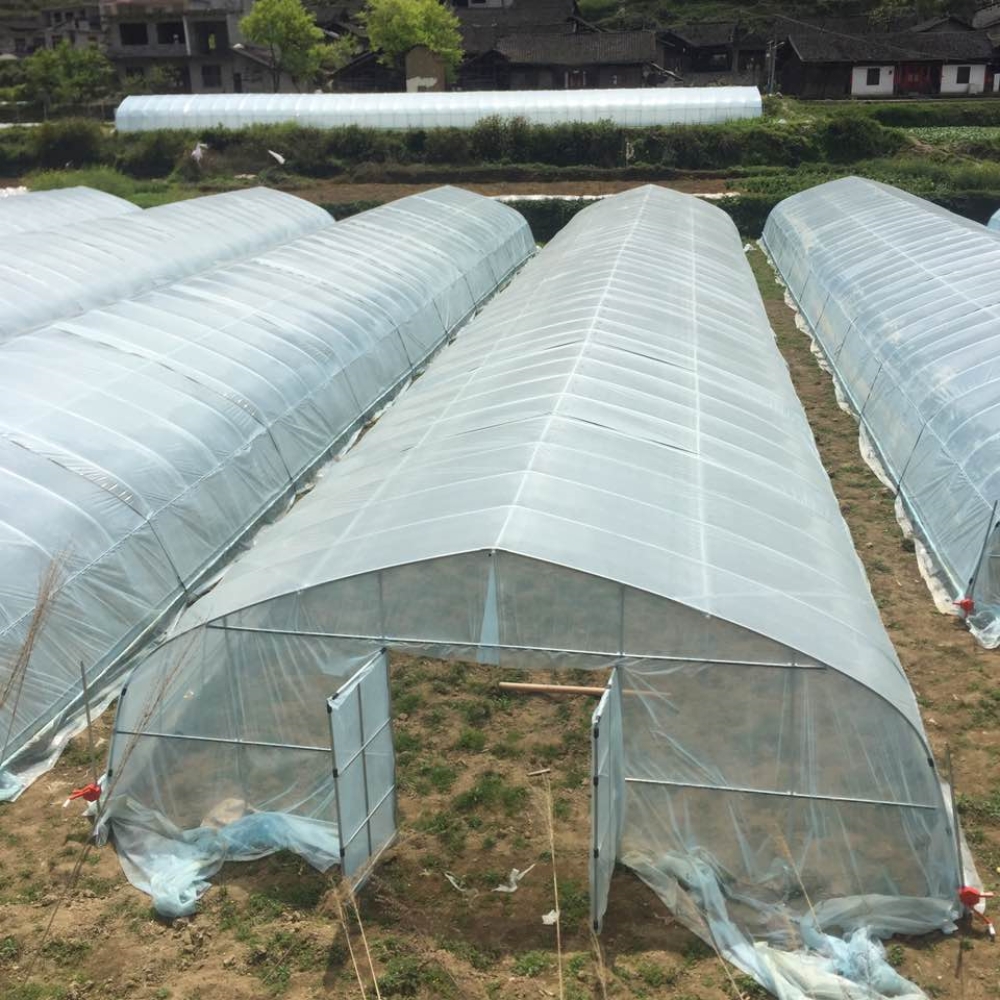 Single Greenhouse for Flower Planting Single Greenhouse for Flower Planting