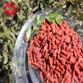 Medicinal Certified healthy Low pesticide Goji Berries