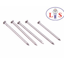 Common Iron Nails with High Quality