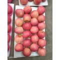 2020 new crop good quality fuji apple