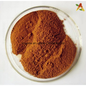 CAS No 58-08-2 Guarana Seed Extract Powder