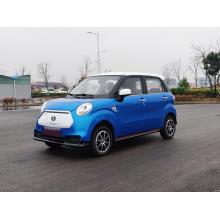 cheap High speed electric car wIth cute design