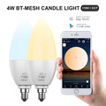 Wireless Smart E12 LED Candles Birne