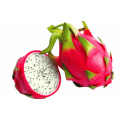 wholesale dragon fruit powder white pitaya fruit powder