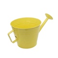 Detachable sprinkler look galvanized metal pot