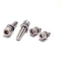 Hex Socket Head Screw with Washer