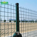 Green Color Pvc Holland Euro Fence à vendre