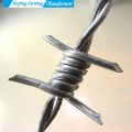 Hot Dip Galvanized Barbed Wire for Protecting Mesh