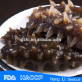 HL011 Frozen Sea Cucumber for export vacuum package