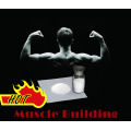 Fat Burning Steroid Turinabol Powder Clostebol Acetate 855-19-6