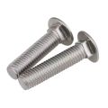 Stainless Mushroom head square neck Carriage Bolt