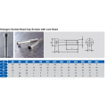 Винты с головкой под головку с шестигранной головкой с низкой головкой
