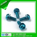 Torx Pan Head Sems Screw with Flat Washer