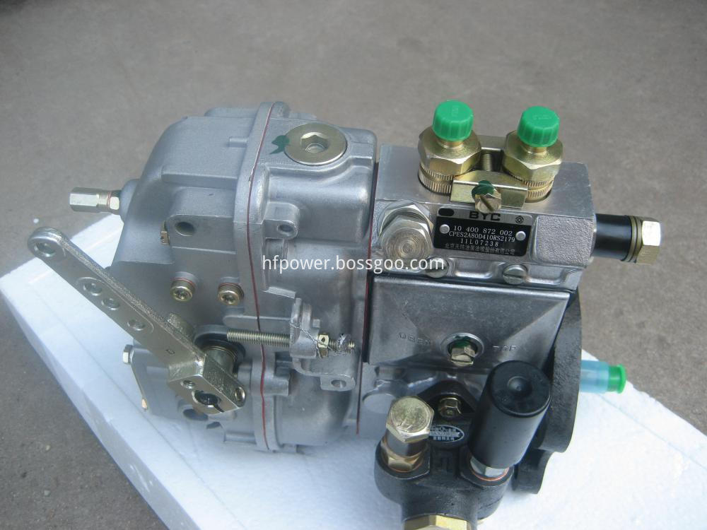 F2L912 fuel injection pump (1)