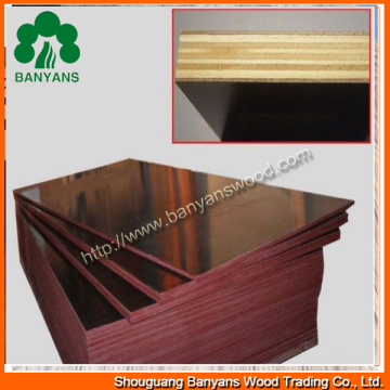 Film Face Plywood Shuttering Formwork Plywood for Iraq Market