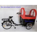 Capacité de charge élevée Tricycle à pousse pousse électrique (FP-ERT003)