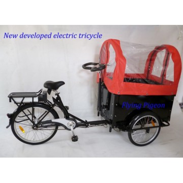 Capacité de charge élevée Tricycle à pousse pousse électrique (FP-ERT003)