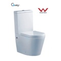 2016 New Design One Piece Toilet/Water Saving Water Closet (CVT2057)