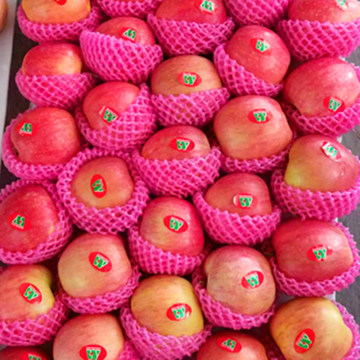 Fresh Huaguan Apple Best Quality