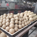 High Aluminum Oxide balls/92% Alumina Bead/Alumina ball 50mm