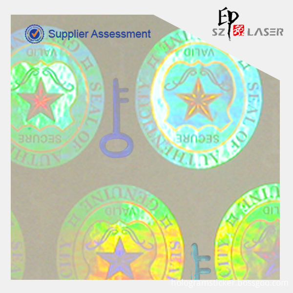 Transparent Hologram Stickes (1) Transparent Hologram Stickes (1)