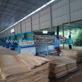 High Efficiency Roller Veneer Dryers for Sale