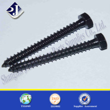 DIN571 Standard Fastener Wood Screw