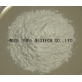 Attractive Price Industrial Grade Maize Starch for Sale