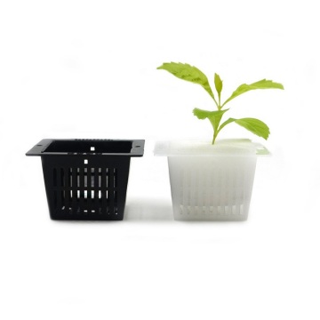 Plantes Skyplant Jardin PP Coupe Hydroponique Net Pots