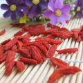 Oval Shape Dried Style Organic Goji Berry