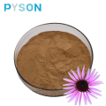 Echinacea Herb Extract Powder