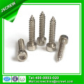 Hex Socket Head Cap Screw Vis pointu