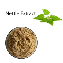 Pharmaceutical price Nettle Extract powder for sale