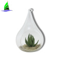 Glass Hanging Planter Hanging Air Plant Terrarium Decorative